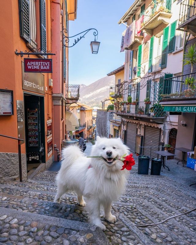 Snapshots from Lake Como 💦😍 Get ready to be swept away by the breathtaking beauty of Lake Como, Italy! 🇮🇹✨