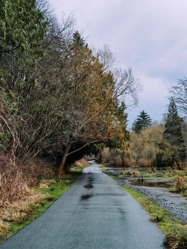 Stanley Park, the largest and most beautiful urban park in North America