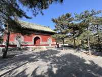 普度寺