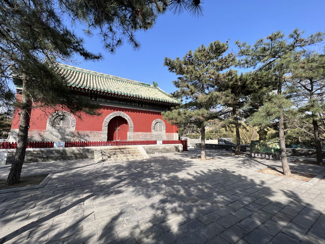 普度寺