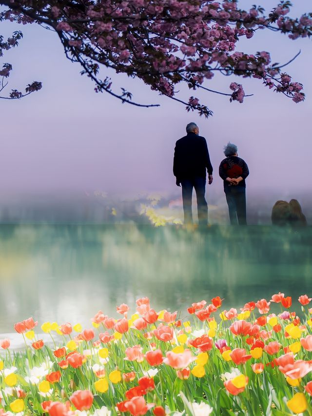不僅櫻花！杭州春日的 18 個寶藏賞花地等你探索