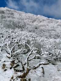 大理蒼山懶人攻略|超詳細