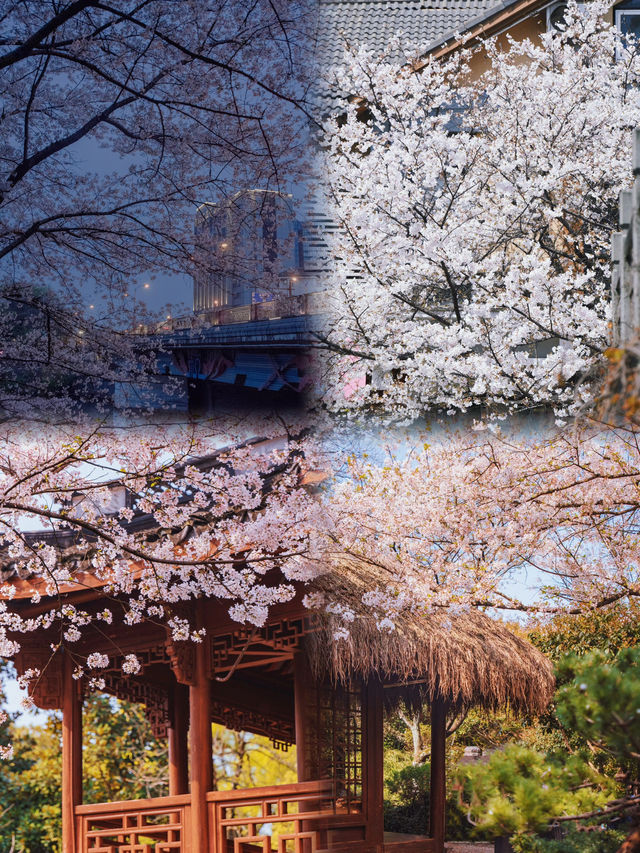 接下來三四月的杭州，真是國內旅行天花板