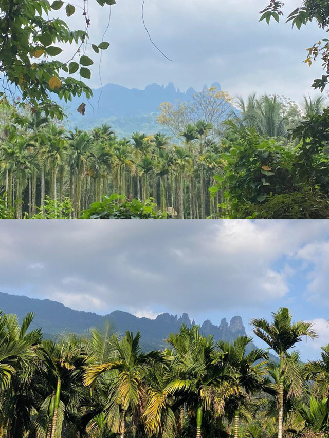 藏在雨林裡的泡澡天堂 感受大自然的洗禮