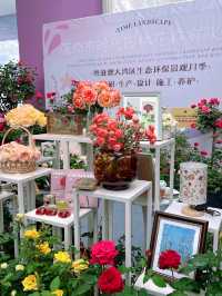 被公園治癒瞬間｜不愧是深圳特區造價近300萬的花展盡免費開放