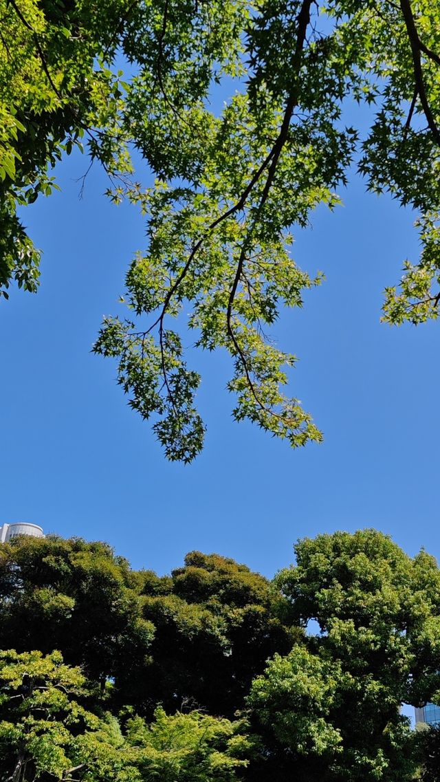 【夏日東京綠】小石川後樂園：深綠淺綠抹茶綠裡愜意一刻