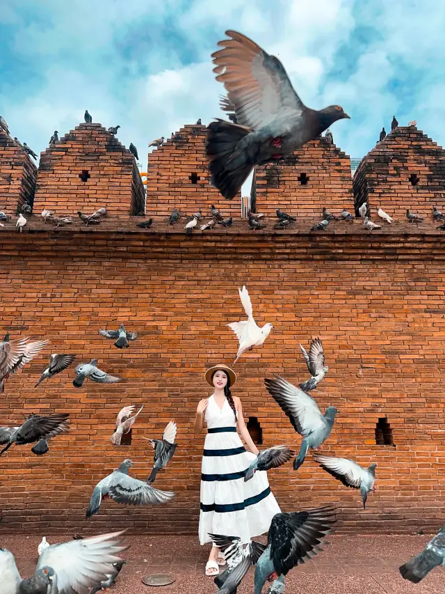 청마이에서 비둘기와 함께 춤을 추며 타패문 아래의 느린 생활을 느껴보세요