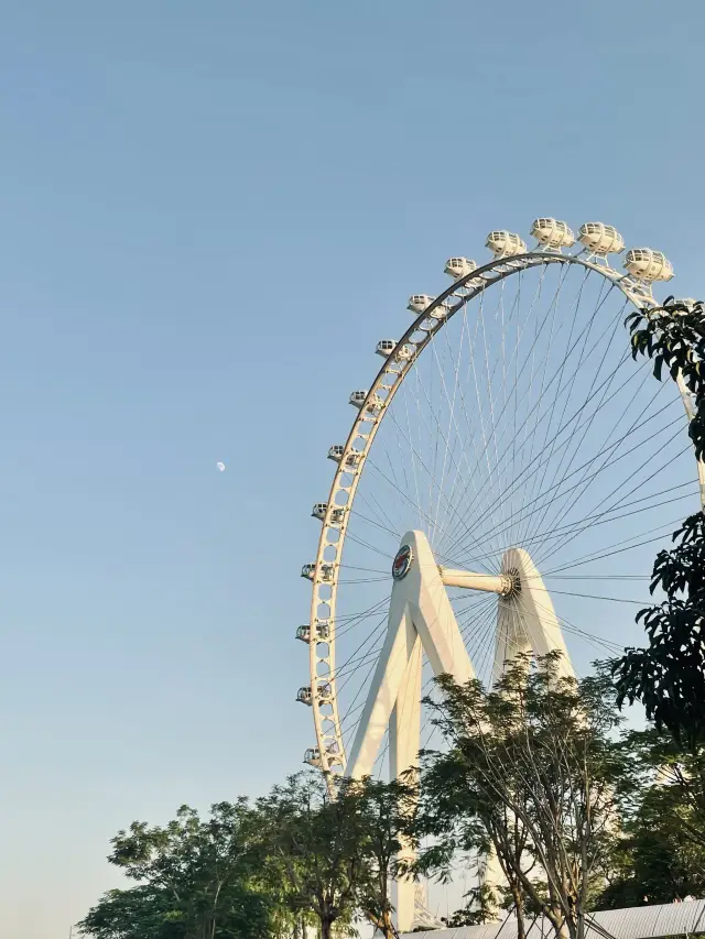 Shenzhen Sightseeing | A Ferris wheel that you can photograph from day to night