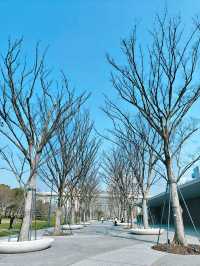 世博文化公園將是魔都市區最大的生態公園