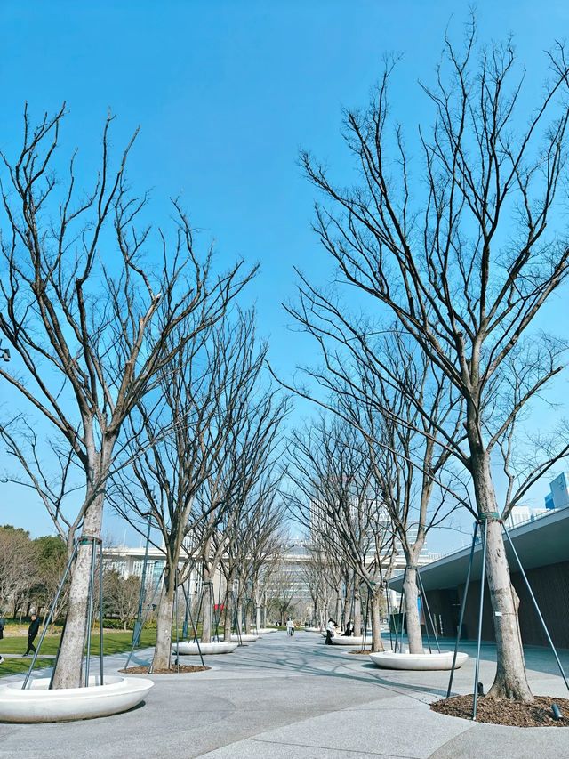 世博文化公園將是魔都市區最大的生態公園