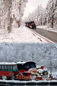 重慶武隆仙女山2024玩雪最全攻略