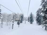 札幌滑雪場：釋放冬日激情，盡享極致滑雪樂趣！