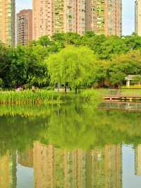 在雨後的四海公園，邂逅湖邊的浪漫