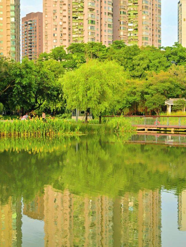 在雨後的四海公園，邂逅湖邊的浪漫