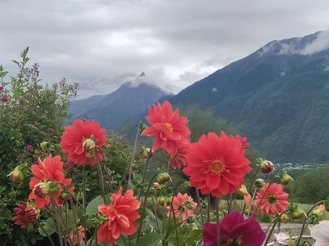 雅魯藏布江大峽谷（上）