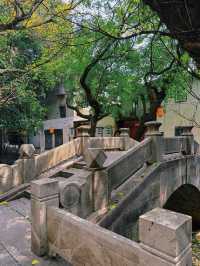 在清幽的朱紫坊內，探尋福州四大園林之一「芙蓉園」