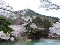 A Blooming Fairy Tale