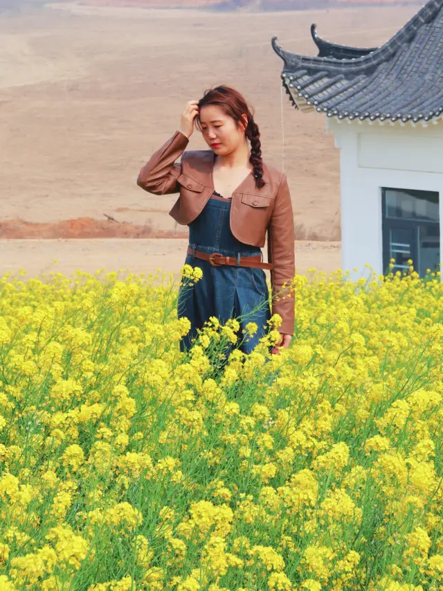 You've had a great time in Xinxiang (with a guide to viewing rapeseed flowers)