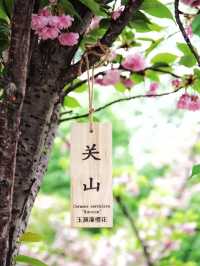 Spring Awakening in Yuyuantan