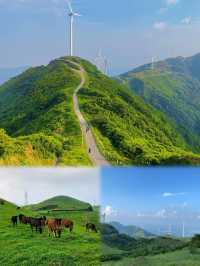 東方雲上牧場！ | 雲浮新興風車山美絕了！