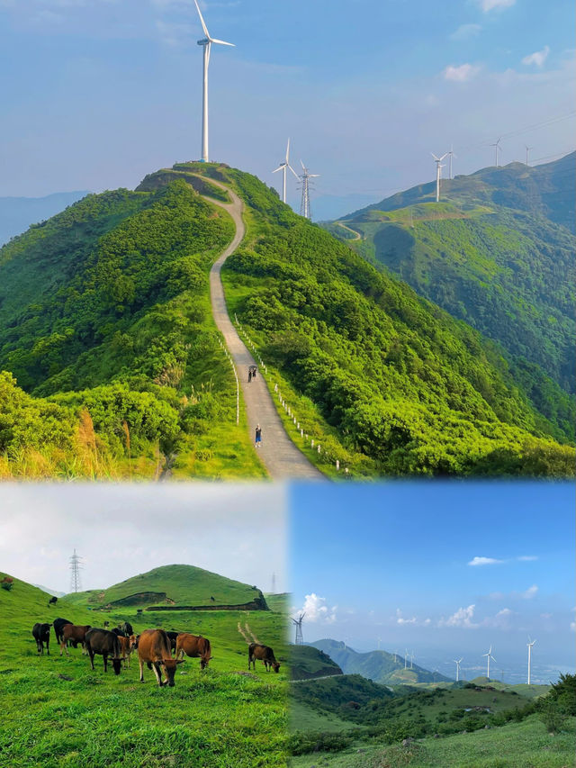 東方雲上牧場！ | 雲浮新興風車山美絕了！