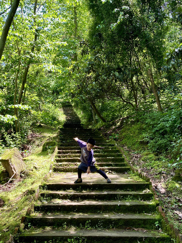 成都1h，穿越森林之門感受春和景明