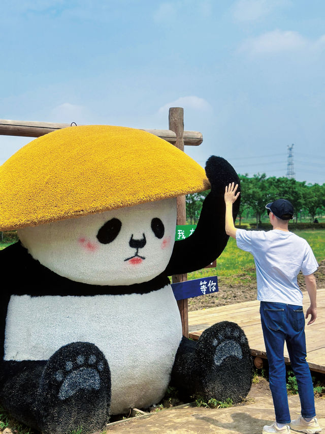 周末去哪兒｜上海青浦購物休閒親子一日遊