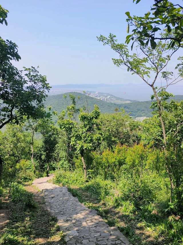 踏青出遊，享受山巔的風景