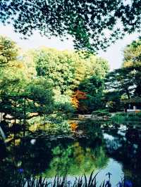 「京都庭院散步，你不可錯過的春天好去處」