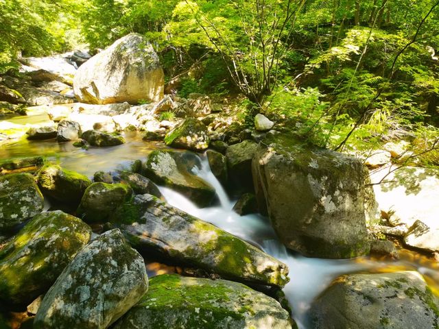 東北小江南，靠近朝鮮