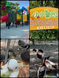 上海的這座公園簡直太驚豔啦真的超級有奈良的感覺呀