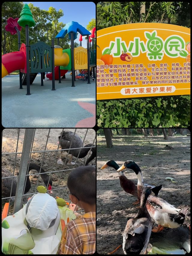 上海的這座公園簡直太驚豔啦真的超級有奈良的感覺呀