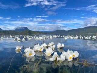 Lugu Lake, the source of my romance and freedom