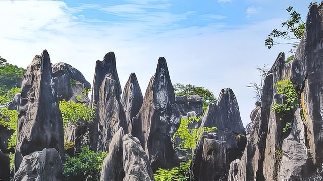 貴州玉石林 | 一億多年的地質奇觀
