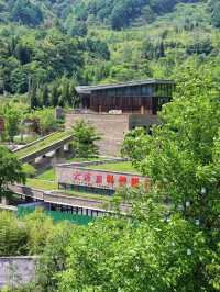 在汶川看福寶！住進大熊貓基地對面的山野民宿！
