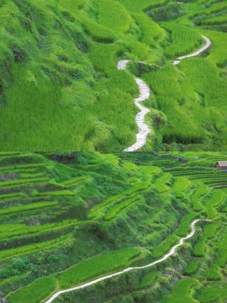 In Zhejiang!! Not in Guizhou!! Regret only coming to the ancient village with terraced fields now