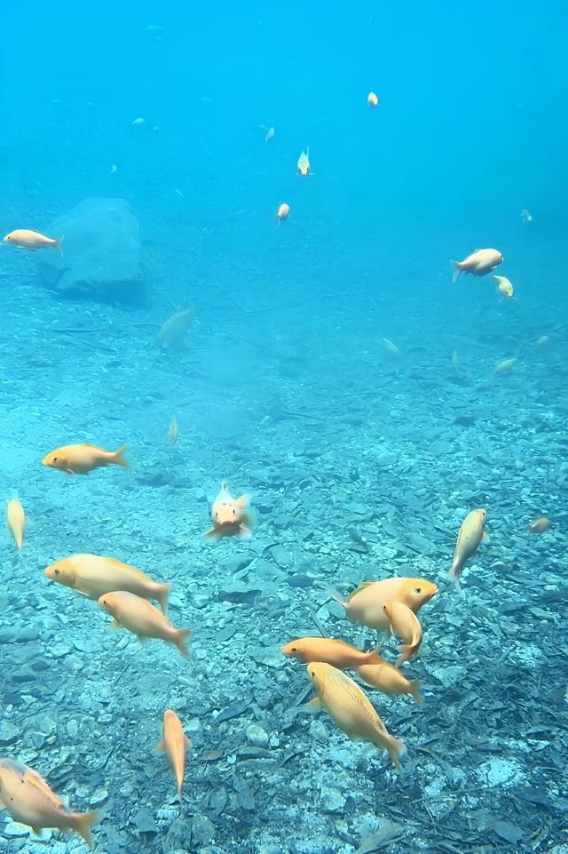 這座江南仙山到底有多絕
