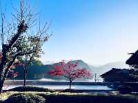 建在懸崖邊的避世民宿，去一探究竟