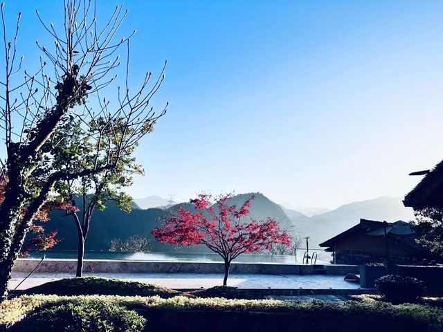 建在懸崖邊的避世民宿，去一探究竟