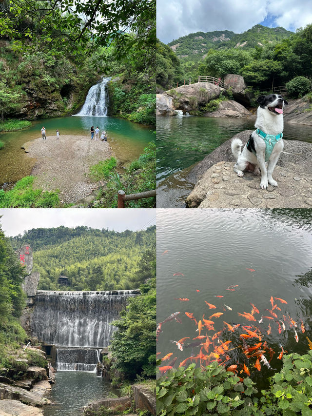 炎熱的夏天，一定要來皖南避暑！！！