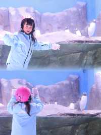 夏天～就是要來玩雪呀～