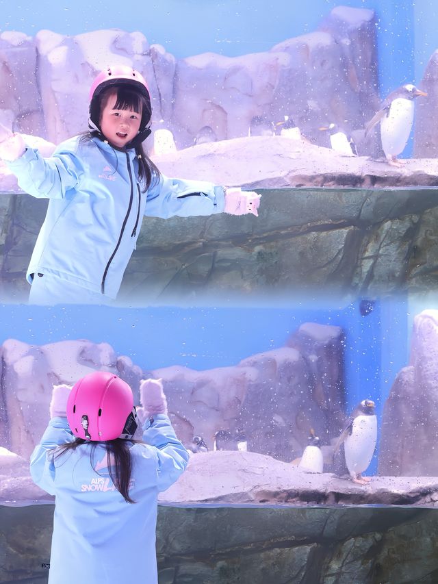 夏天～就是要來玩雪呀～
