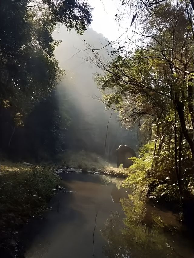 又找到一个旅游宝藏胜地