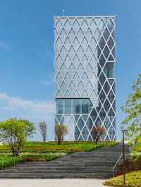 🌟 Shenzhen Bay's Kapok Hotel: Artistic Elegance & Comfort 🌟