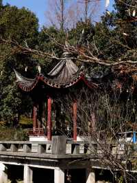 慈溪峙山公園|出太陽啦快出門玩吧~