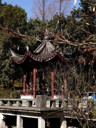 Cixi Zhishan Park | The sun is out, let's go out and play~