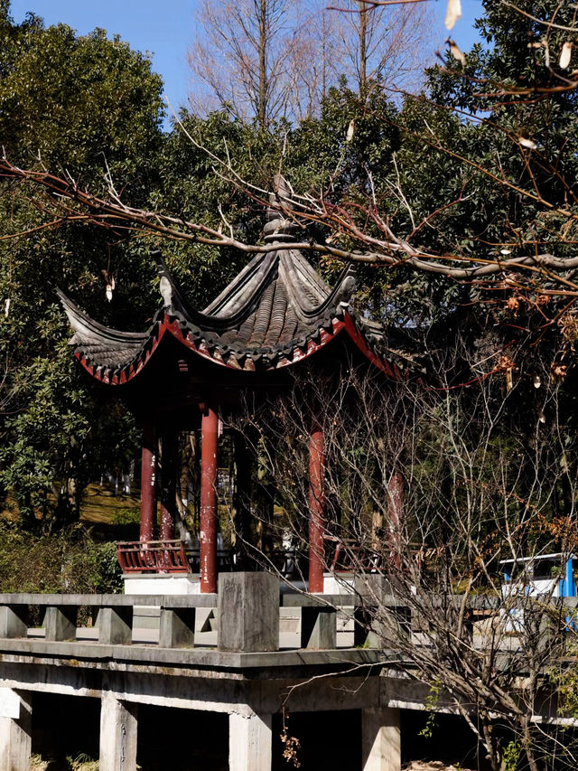 慈溪峙山公園|出太陽啦快出門玩吧~