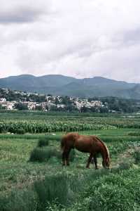 沙溪古鎮遊玩指南茶馬古道上的避世村落🪵