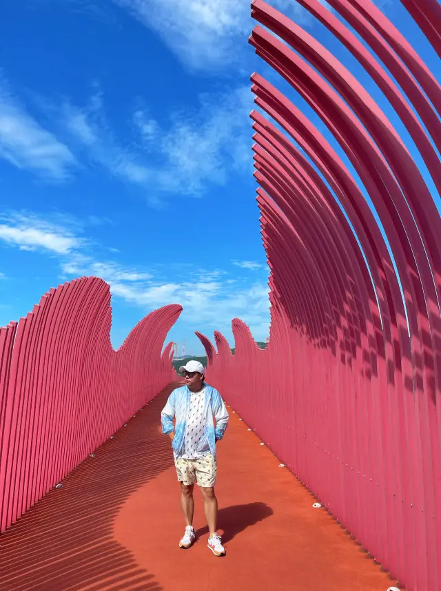 “觀海”逛公園該是天花板級別的存在了吧