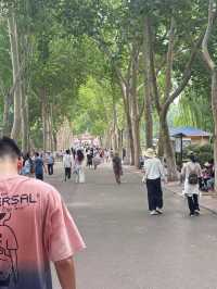 濟南動物園攻略